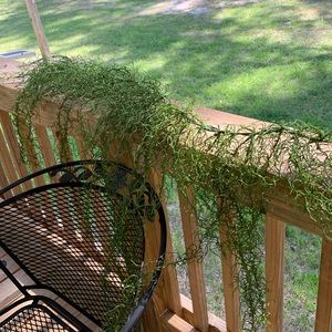 2 1/2’ long green swag